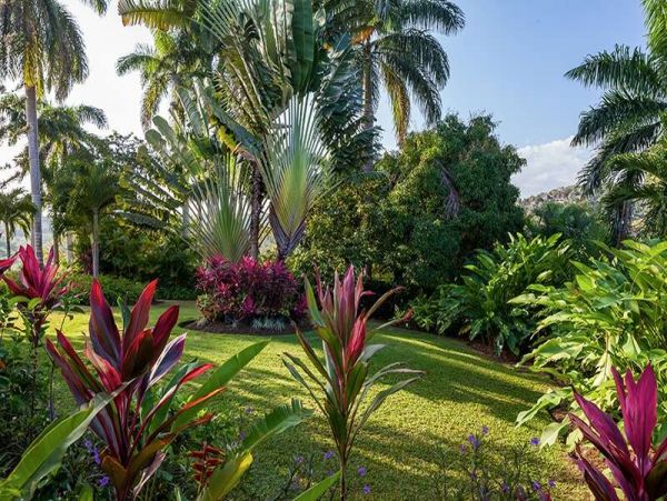 Jamaica Home 1002257