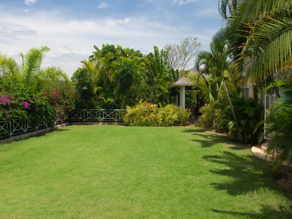 Jamaica Home 1002312