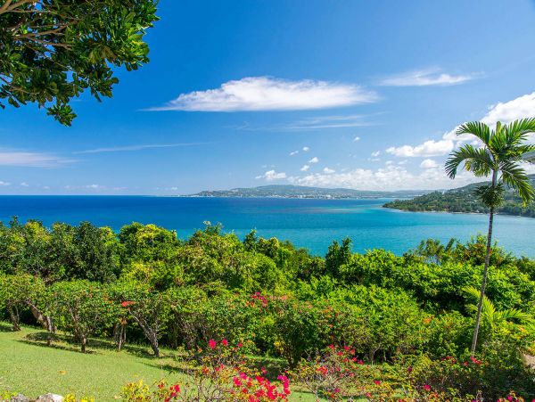 Jamaica Home 1002324