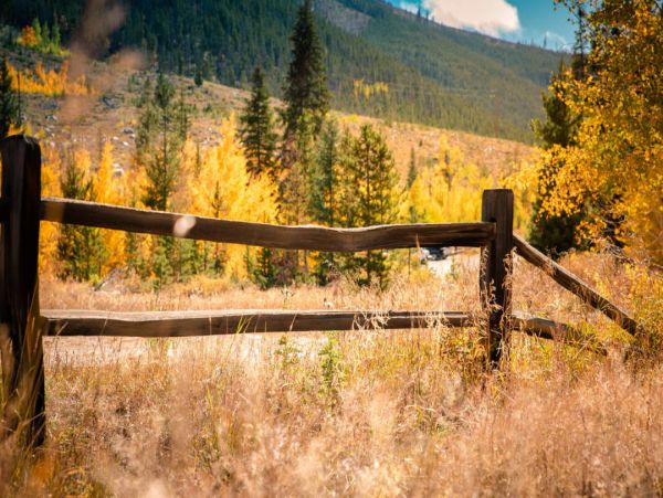 Luxurious Cabin in Dillon With Private Hot Tub Sleeps 22