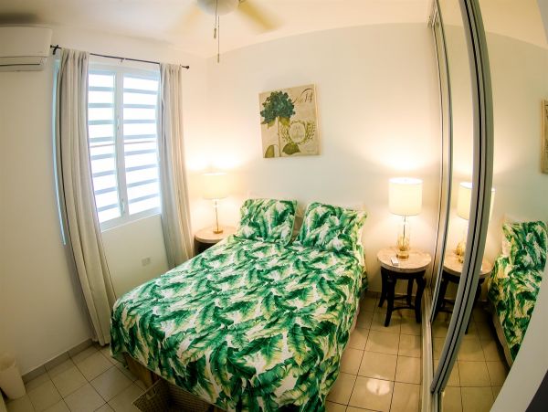 Five Bedroom Vacation Home in Puerto Rico Right on Beach