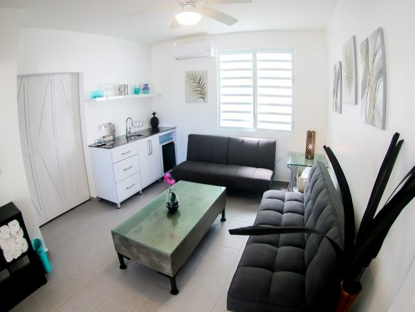 Five Bedroom Vacation Home in Puerto Rico Right on Beach
