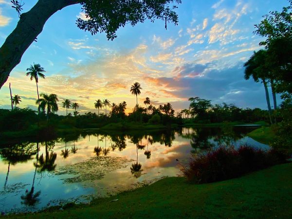 4 Bedroom Beach Vacation Villa in Puerto Rico Walk To Beach