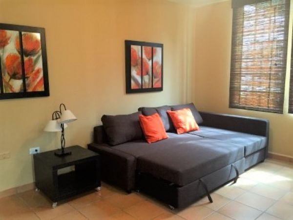 4 Bedroom Beach Vacation Villa in Puerto Rico Walk To Beach