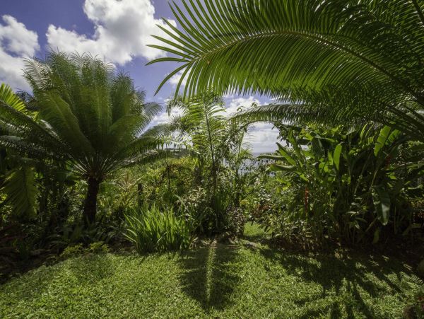 St. Lucia Home 1002881