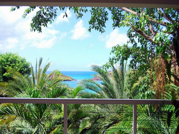 Antigua Barbuda Home 1003082
