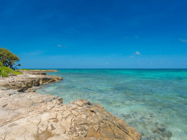 Antigua Barbuda Home 1003095