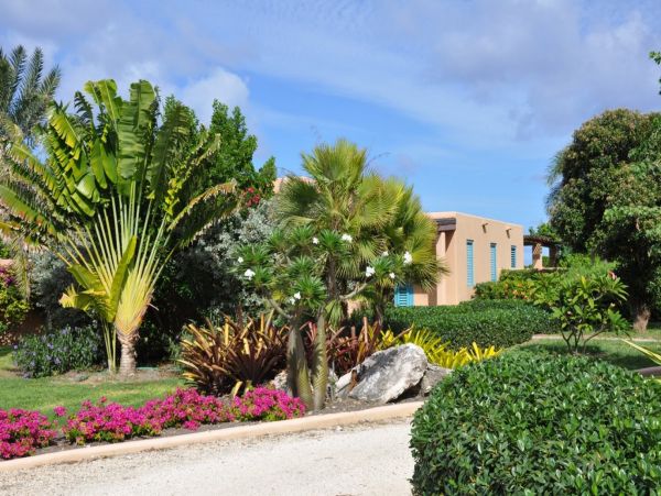 Antigua Barbuda Home 1003097