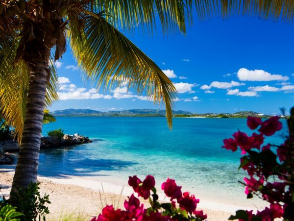 Antigua Barbuda Home 1003105