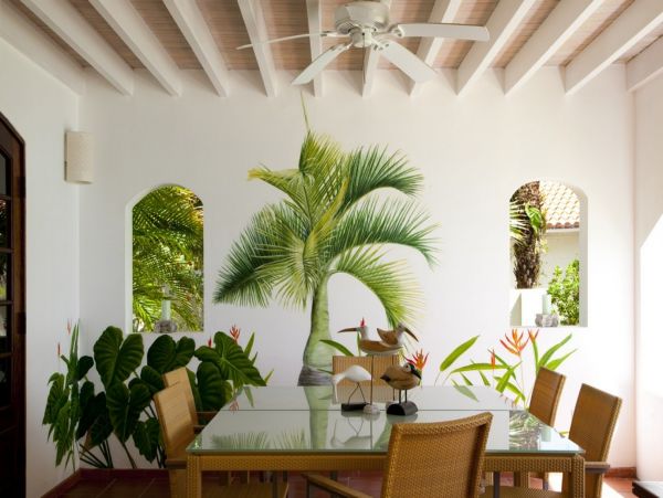 Antigua Barbuda Home 1003113