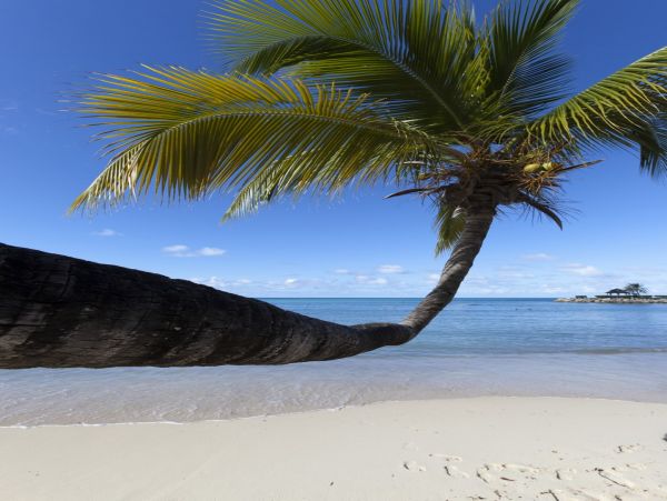 Antigua Barbuda Home 1003117