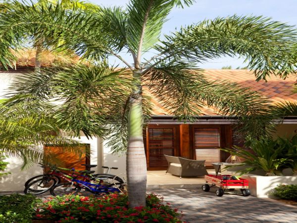 Antigua Barbuda Home 1003118