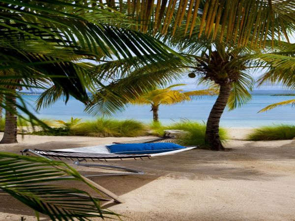 Antigua Barbuda Home 1003130