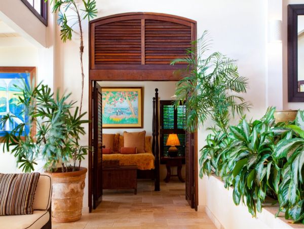 Antigua Barbuda Home 1003134
