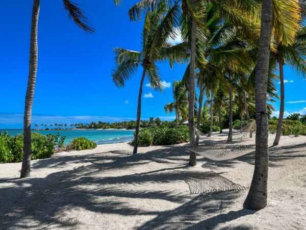 Antigua Barbuda Home 1003137