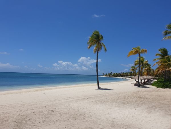 Antigua Barbuda Home 1003139