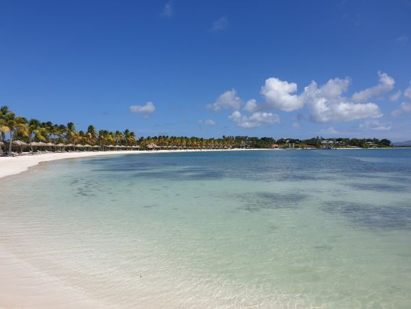 Antigua Barbuda Home 1003139