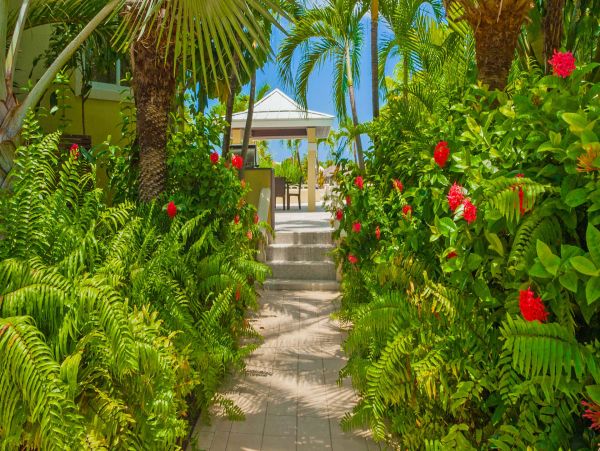 Cayman Islands Home 1003240
