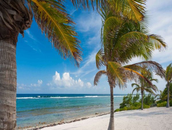 Cayman Islands Home 1003267