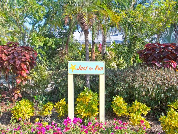 Cayman Islands Home 1003281