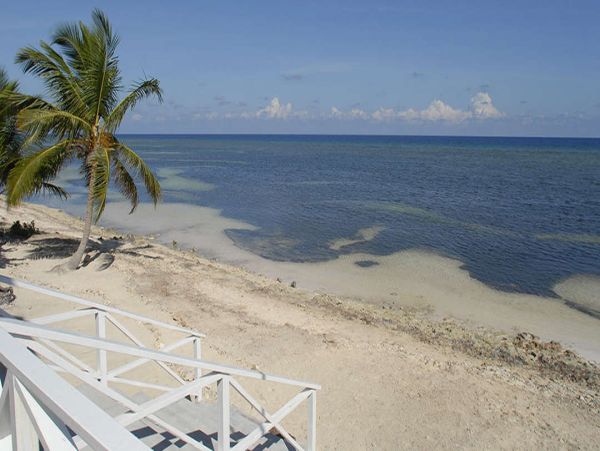Cayman Islands Home 1003283