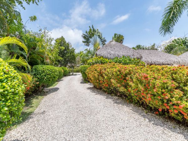 Dominican Republic Home 1003322