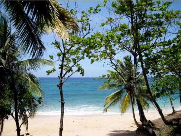 Dominican Republic Home 1003367
