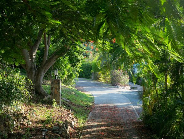 St. John Home 1003808