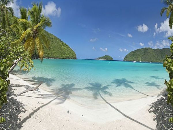 St. John Condo 1003925