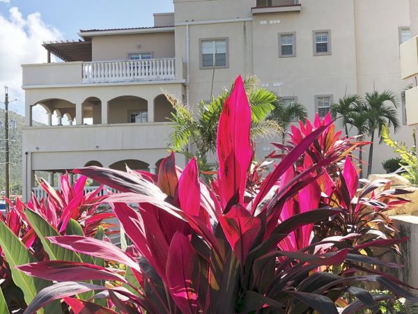 St. John Condo 1003929