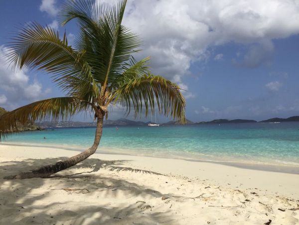 St. John Condo 1003935