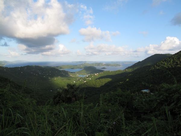 St. John Condo 1003936