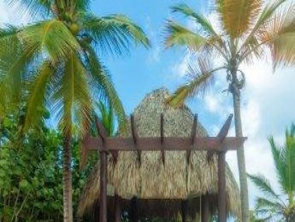 Dominican Republic Home 1003952