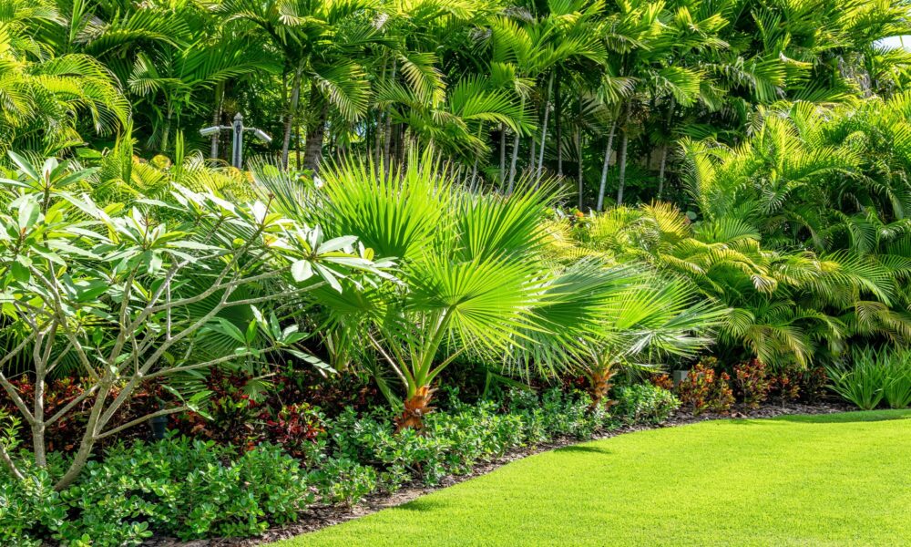 Dominican Republic Home 1003955