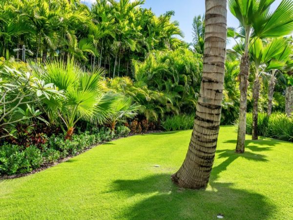 Dominican Republic Home 1003955