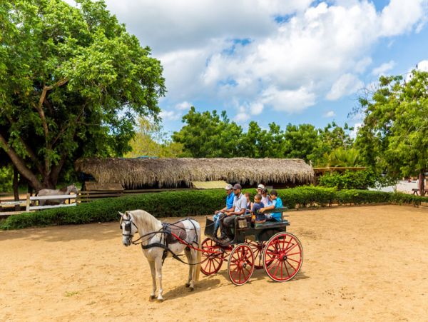Dominican Republic Home 1003964