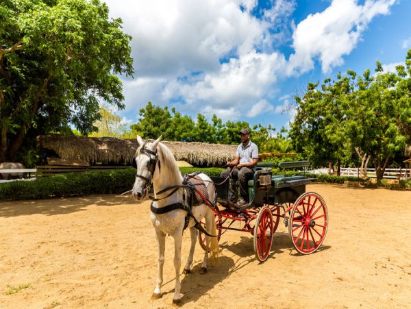 Dominican Republic Home 1003964