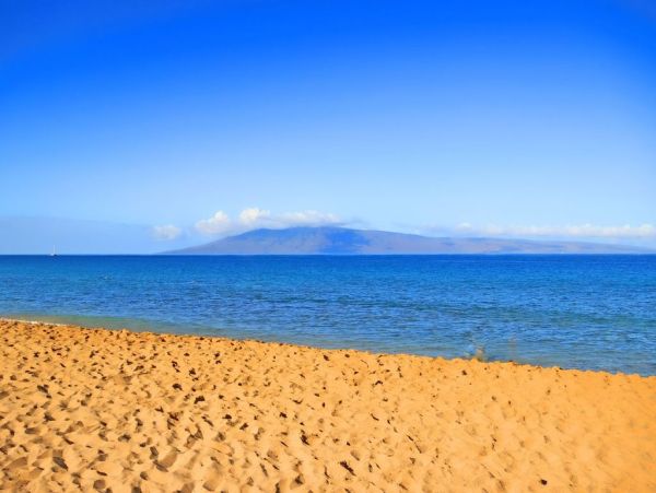 Great Views & Location 5 Bedroom Premier Condo in Kaanapali