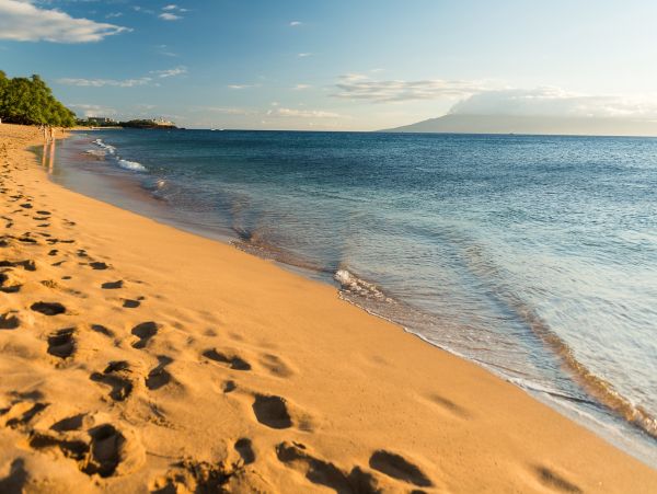 Great Views & Location 5 Bedroom Premier Condo in Kaanapali