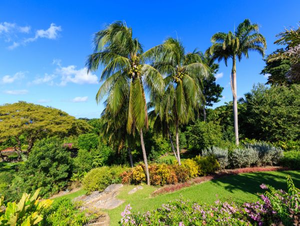 Barbados Home 1004014