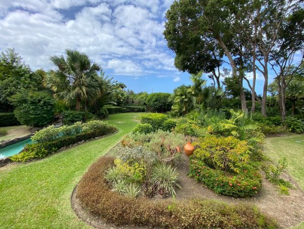 Barbados Home 1004028