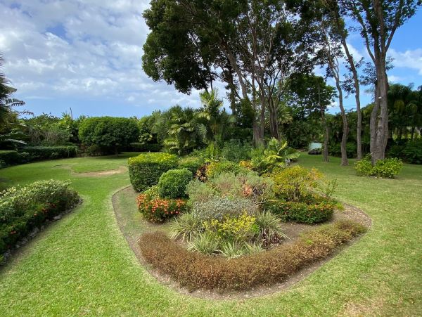 Barbados Home 1004028
