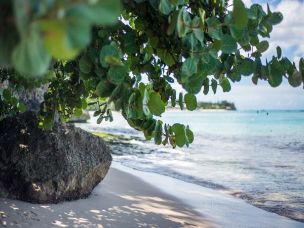 Barbados Home 1004045