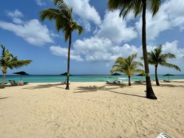 Barbados Home 1004068