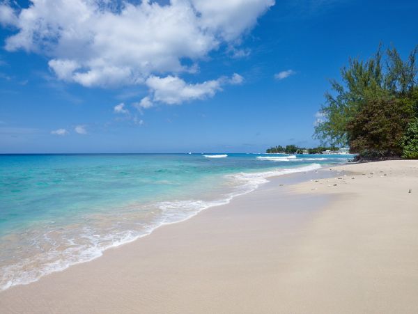 Barbados Home 1004078