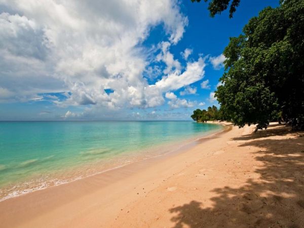 Barbados Home 1004086