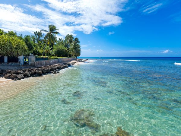 Barbados Home 1004095