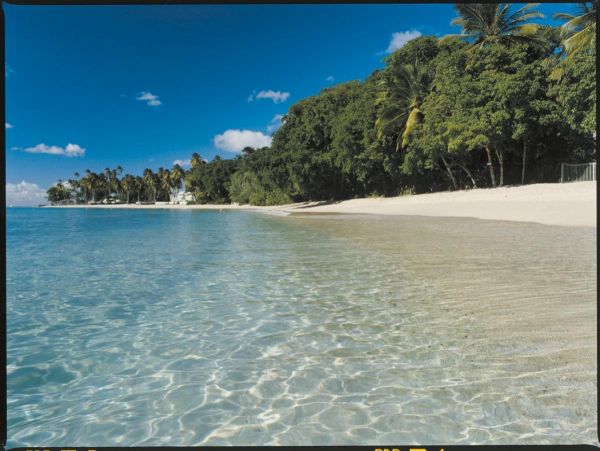 Barbados Home 1004101