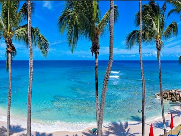 Barbados Home 1004118