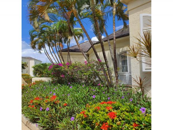 Barbados Home 1004126